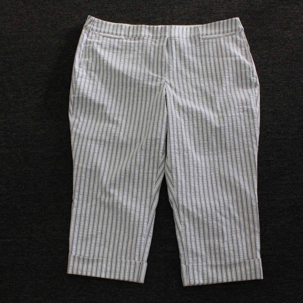 Lane Bryant The Lena Tailored Stretch Legs Size 26